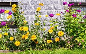 Garden View Apartment in Erzgebirge near Forest